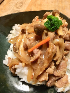柔らか美味しい豚肉の発酵生姜丼!-レシピのメイン写真