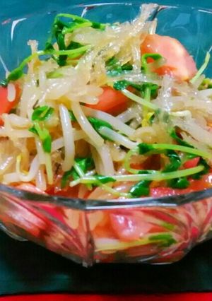 糸寒天とモヤシ、豆苗の茹でサラダ風☆-レシピのメイン写真