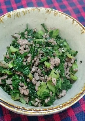 高菜そぼろ-レシピのメイン写真