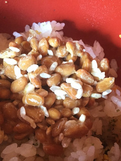 納豆麹ご飯-レシピのメイン写真