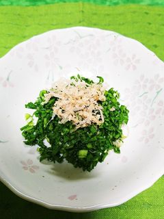 ✨韮おかか-レシピのメイン写真