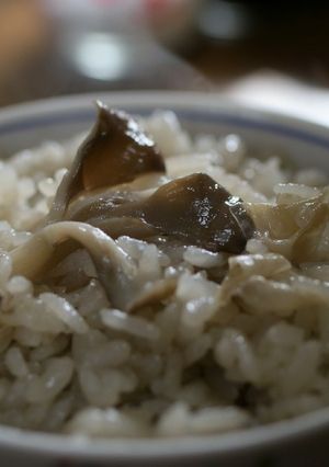 湯葉と舞茸の炊き込みご飯-レシピのメイン写真