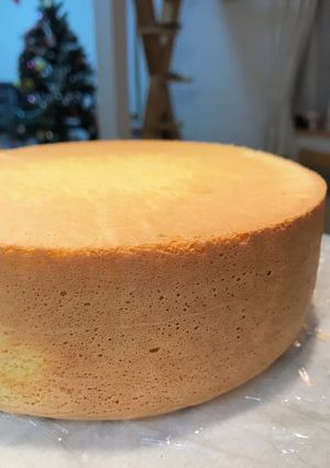 スポンジケーキ-レシピのメイン写真