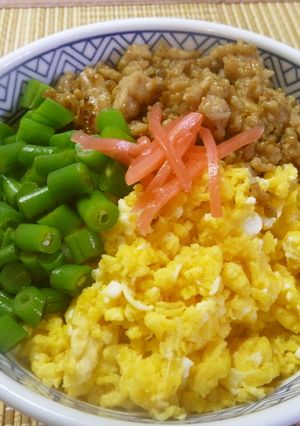いんげんと鶏そぼろの簡単三食丼-レシピのメイン写真