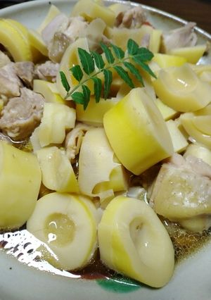 破竹と鶏腿の山椒風味-レシピのメイン写真