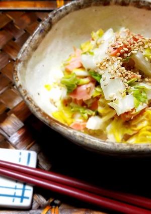 白菜と鮭の簡単サラダ-レシピのメイン写真