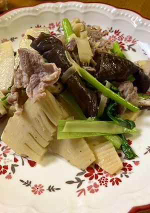 たけのこと豚肉のオイスターソース炒め-レシピのメイン写真