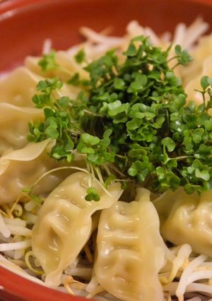 3ステップでできる！シンプル餃子鍋-レシピのメイン写真