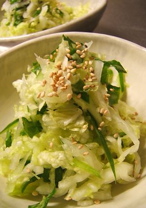 白菜の塩もみ-レシピのメイン写真