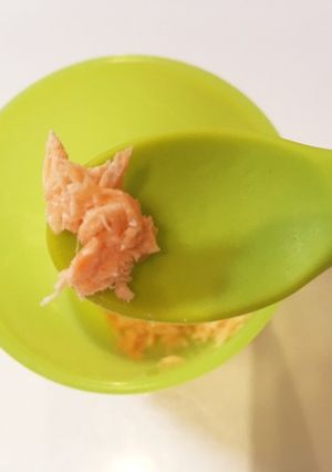 離乳食中期✿鮭フレーク✿-レシピのメイン写真