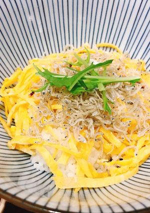 簡単！ちりめん丼-レシピのメイン写真