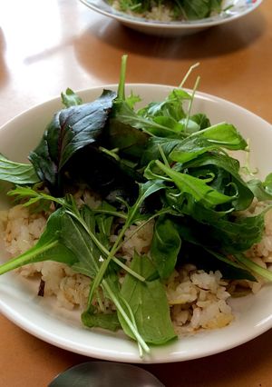 しらすと塩昆布のサラダ炒飯-レシピのメイン写真