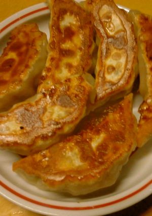 白菜ともやしの餃子-レシピのメイン写真