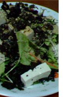 豆腐と海苔と水菜のサラダ-レシピのメイン写真
