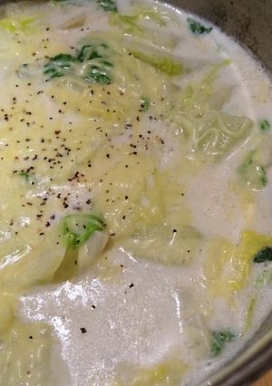 白菜のミルク煮-レシピのメイン写真