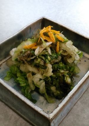 白菜とこんぶのコンソメ漬け-レシピのメイン写真