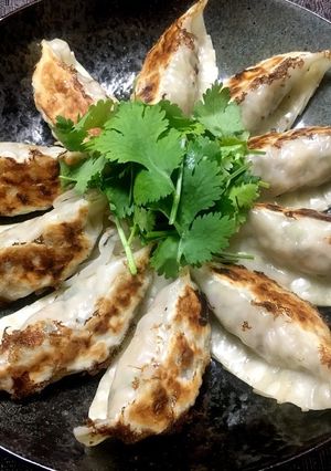 パクチー餃子-レシピのメイン写真