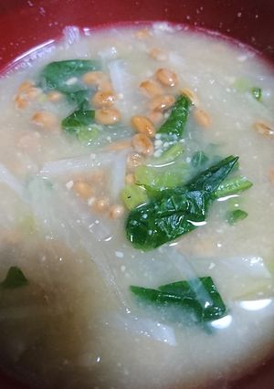 納豆と大根のみそしる-レシピのメイン写真