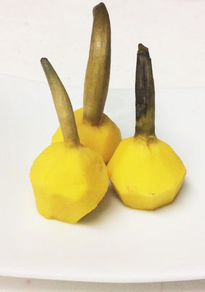 おせちに〜簡単！クワイの煮物-レシピのメイン写真