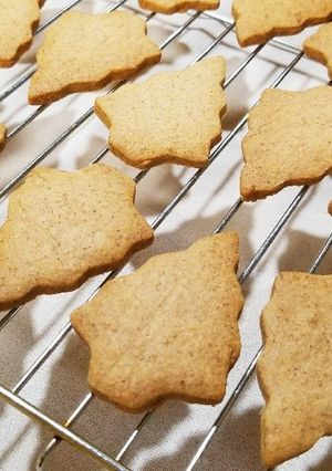 甘さ控えめシナモンジンジャークッキー-レシピのメイン写真