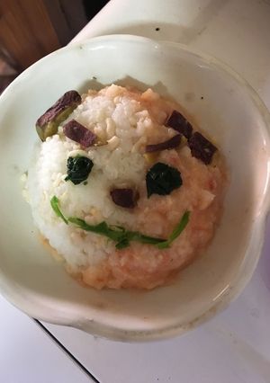 離乳食 お正月 2018 紅白犬ご飯-レシピのメイン写真