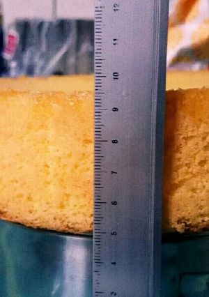 ホールケーキ用のスポンジを分かりやすく！-レシピのメイン写真
