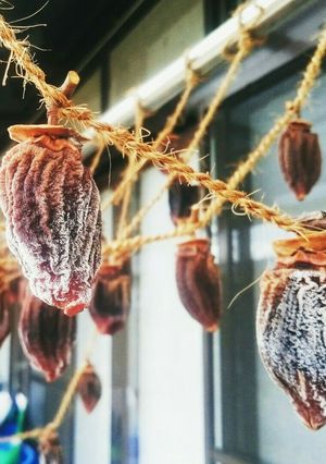 冷凍庫で!干し柿の保存方法-レシピのメイン写真
