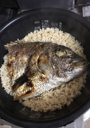 お正月の鯛の姿焼で簡単鯛飯！-レシピのメイン写真