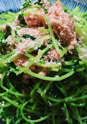 シャキシャキプチプチ！豆苗のタラコ炒め-レシピのメイン写真
