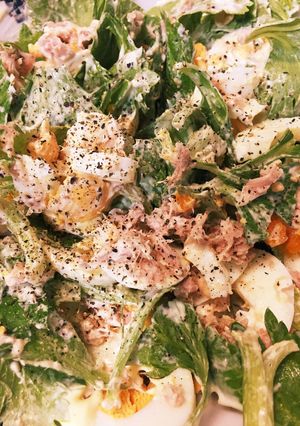 セロリの葉サラダ-レシピのメイン写真