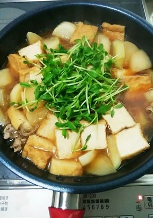 丸大根と厚揚げ、豚肉の煮物-レシピのメイン写真
