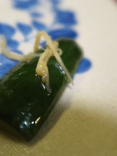 きゅうりの漬物〜中華風〜-レシピのメイン写真