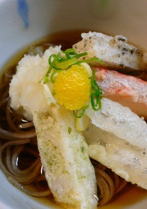 大満足☆四色揚げ餅入りおろしそば-レシピのメイン写真