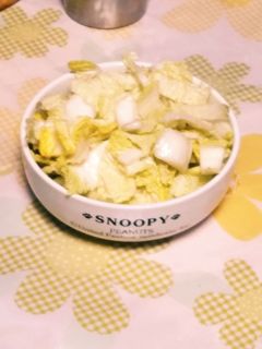 誰でもできる簡単白菜のお漬け物-レシピのメイン写真