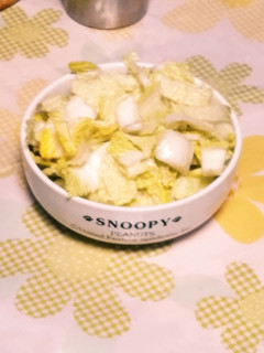 誰でもできる簡単白菜のお漬け物-レシピのメイン写真