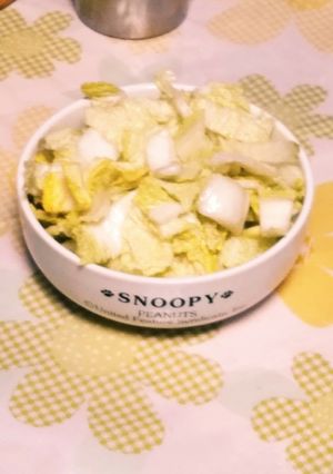 誰でもできる簡単白菜のお漬け物-レシピのメイン写真