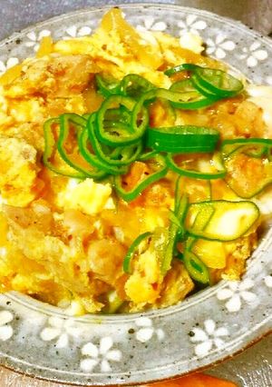 ボリュミーな お一人様 親子丼-レシピのメイン写真