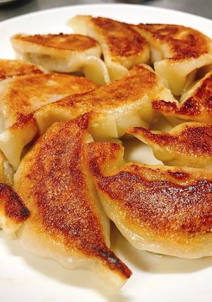 シソ餃子-レシピのメイン写真