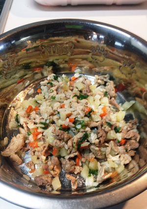 食いつき抜群！老犬用305kcal膳-レシピのメイン写真
