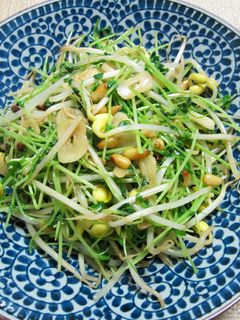 豆もやしと豆苗の花椒炒め-レシピのメイン写真