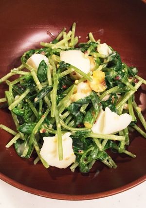 豆苗とゆで卵だけ!簡単サラダ-レシピのメイン写真
