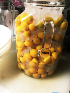 自家栽培の金柑酒初めての覚え書き。-レシピのメイン写真