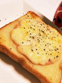 時短! 食パン 朝食 夜食に!-レシピのメイン写真