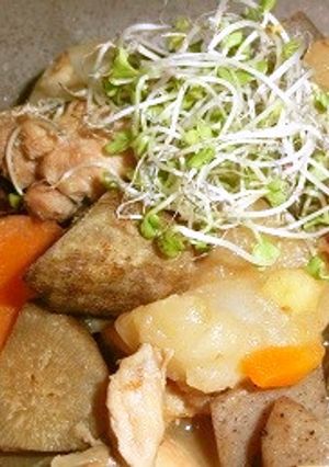 ありあわせの根菜でアレンジいり鶏-レシピのメイン写真