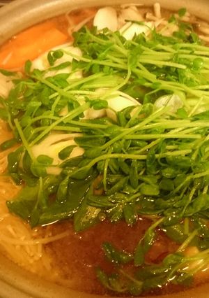 ジビエ：イノシシ鍋-レシピのメイン写真