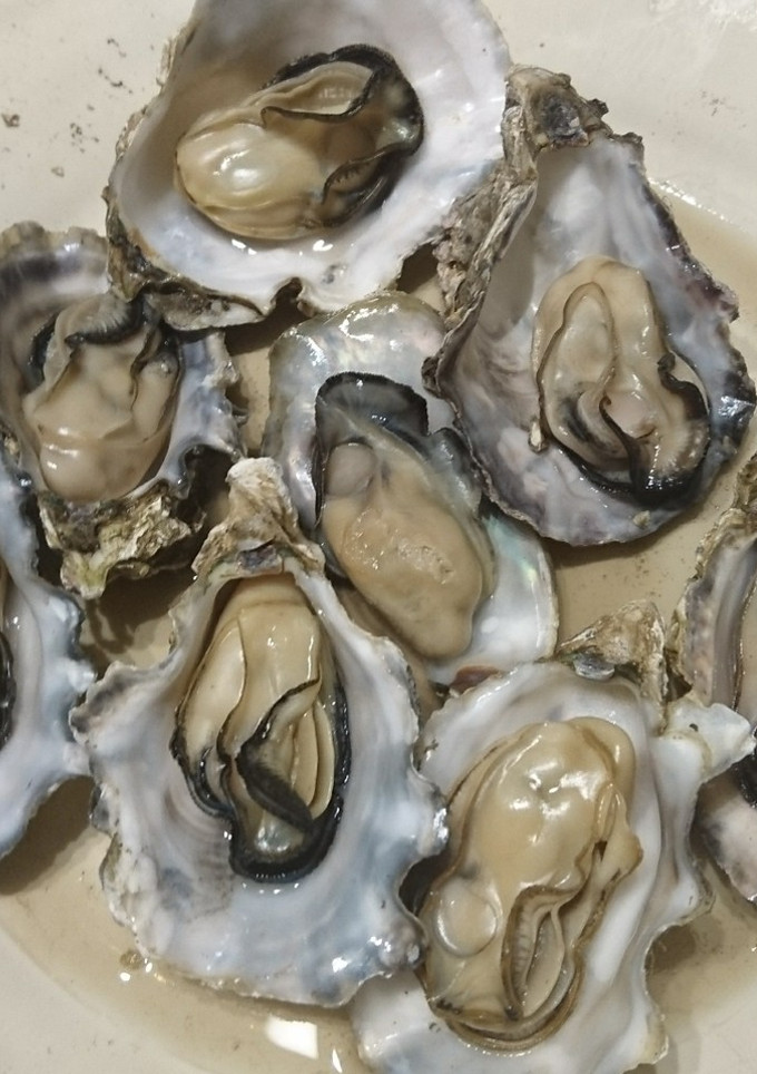 殻付蒸し牡蠣！レンジで！＜備忘録＞-レシピのメイン写真