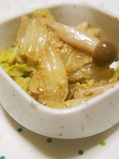 白菜の胡麻和え♪水気をよく絞って♪-レシピのメイン写真
