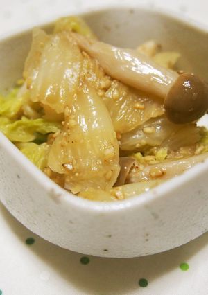 白菜の胡麻和え♪水気をよく絞って♪-レシピのメイン写真