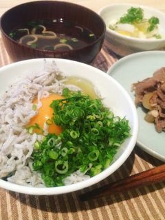 しらす丼-レシピのメイン写真