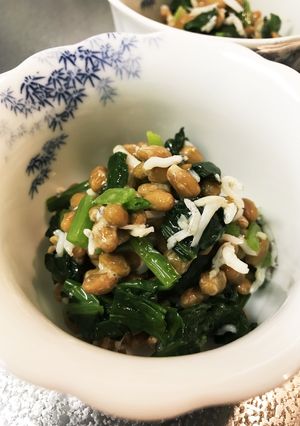 ほうれん草としらすの納豆和え-レシピのメイン写真